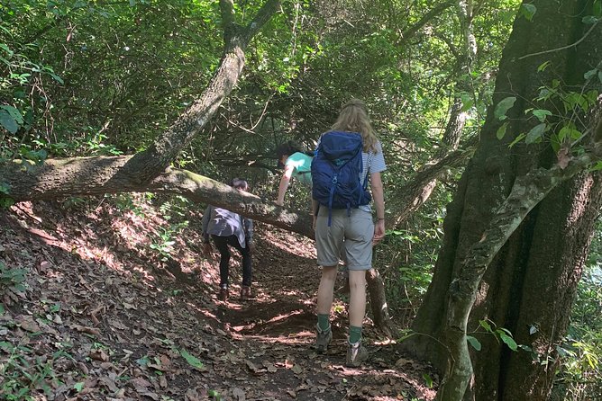 Amazing Lake Duluti Day Trip Experience - Who Will Enjoy This Half-Day Trip Most