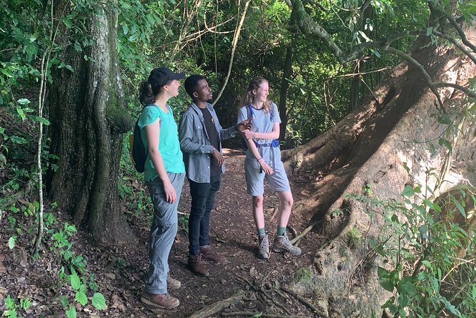 Amazing Lake Duluti Day Trip Experience - Weather, Cancellation, and Planning Ahead