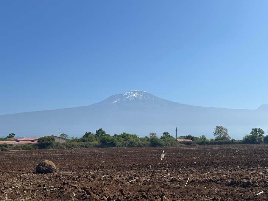 Arusha: 1Day Materuni Waterfall,Coffee Tour and Packed Lunch - What to bring and what to expect