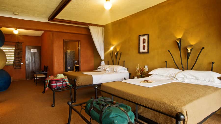 Arusha: 2-Day Luxury Serengeti Safari - Timing, luggage, and what to bring