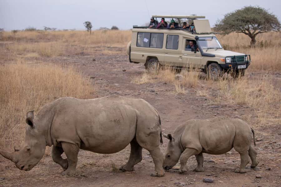 Arusha: 2 Day Tarangire & Ngorongoro Crater Big Five Safari - Day two: the early road into Ngorongoro Crater