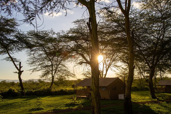 Arusha: 3-Day Safari Tarangire, Flamingo Walk Lake Natron Tour - How much physical effort should you expect?