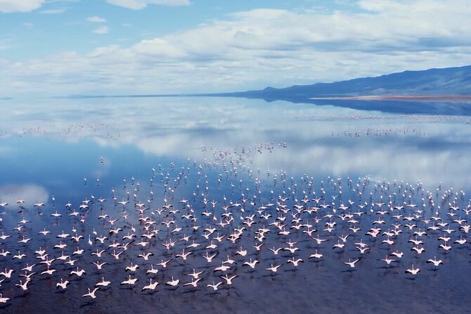 Arusha: 3-Day Safari Tarangire, Flamingo Walk Lake Natron Tour - Guide quality can shape the whole safari