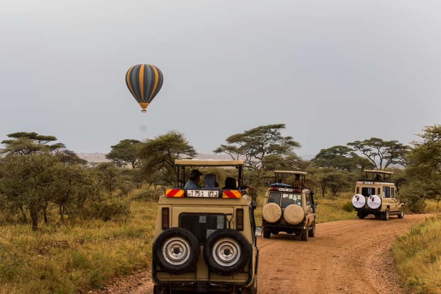 Arusha: 3-Day Serengeti & Ngorongoro Crater Big Five Safari - Day one: the long road from Arusha to Serengeti
