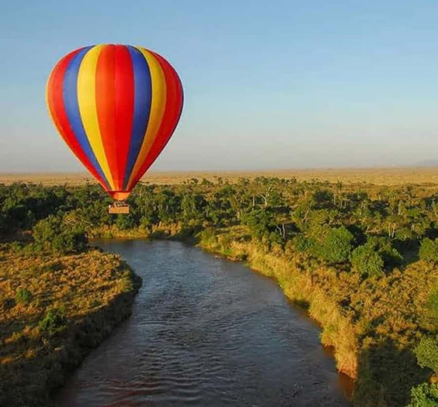 Arusha: 4-Day Big five Safari & Amazing Balloon experience - Who should book this safari?
