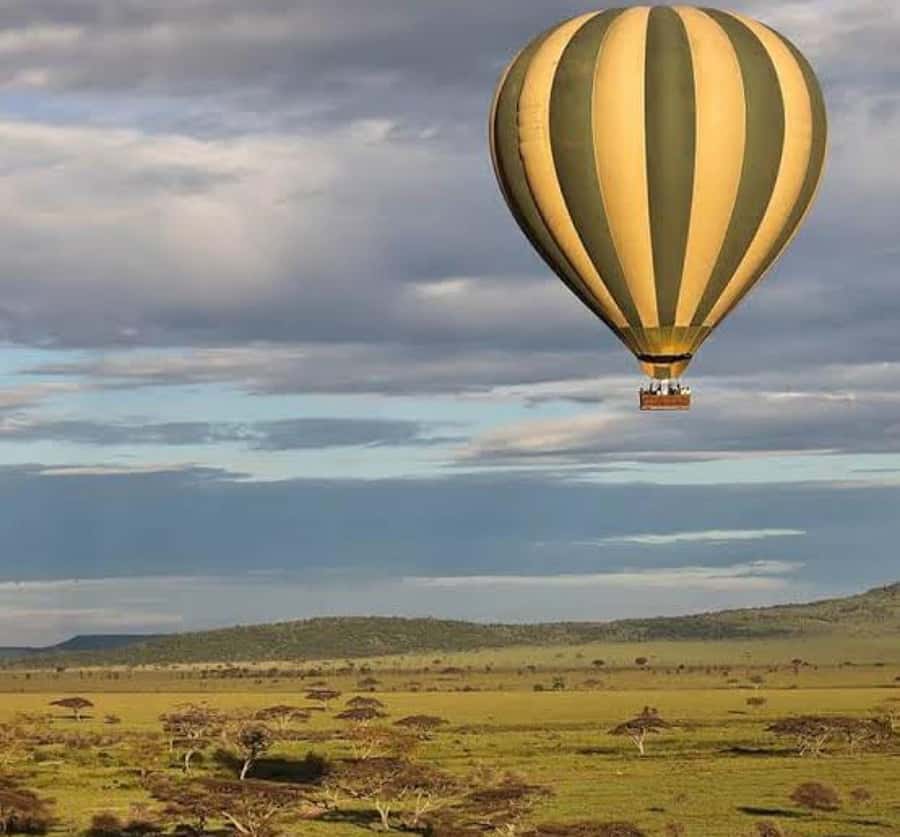 Arusha: 4-Day Big five Safari & Amazing Balloon experience - Day 3: Central Serengeti and the sunrise balloon option