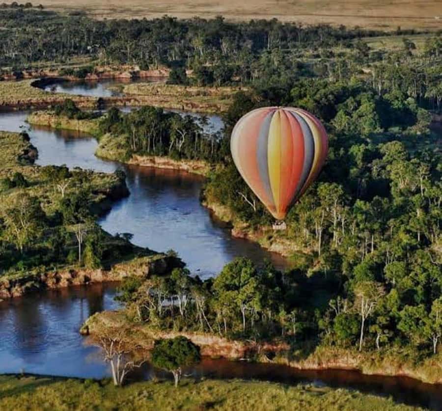 Arusha: 4-Day Big five Safari & Amazing Balloon experience - Lodges or camping: choose carefully