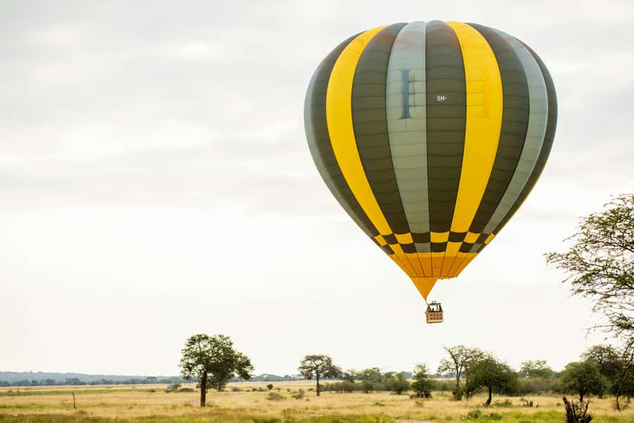 Arusha: 4-Day Big five Safari & Amazing Balloon experience - Day 1: Arusha to Tarangire and the baobab country
