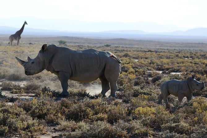 Arusha: 5 days Safari Trip Tarangire, Lake Manyara and Ngorongoro - Who will enjoy this five-day route