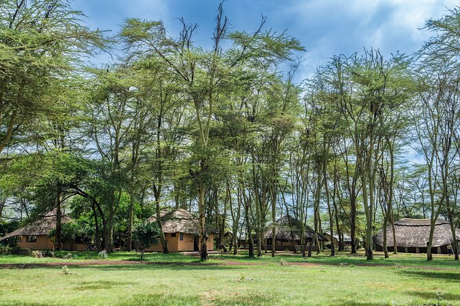 Arusha: 5 days Safari Trip Tarangire, Lake Manyara and Ngorongoro - Lake Manyara and the search for tree-climbing lions