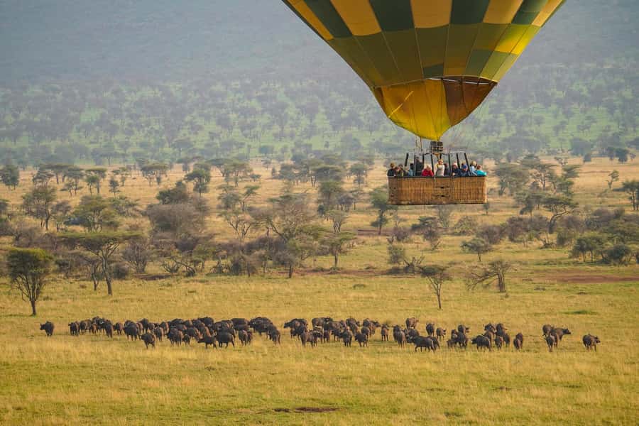 Arusha: 7-Day Safari to Tarangire, Serengeti, and Ngorongoro - What the $4,100 price really covers