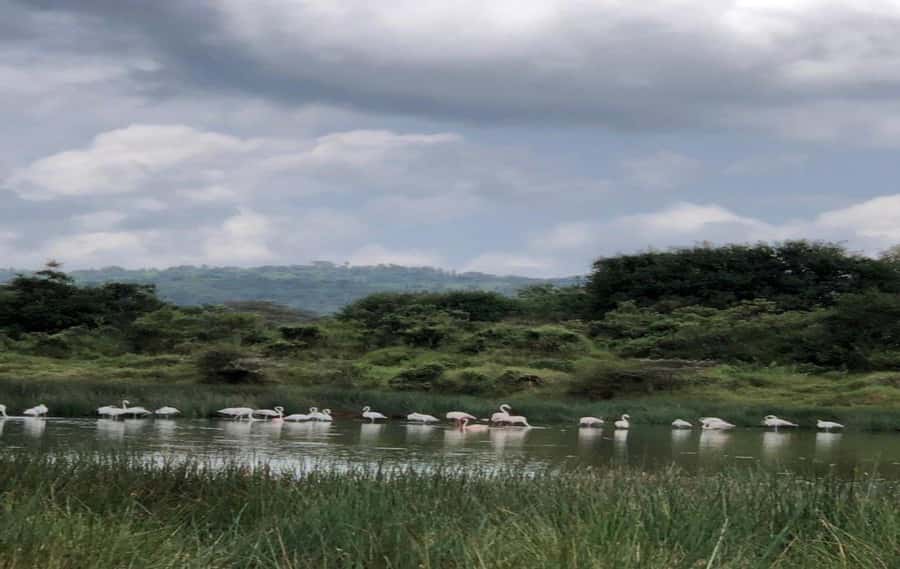 Arusha: Arusha National Park Day Trip - Why Arusha National Park makes a good one-day safari