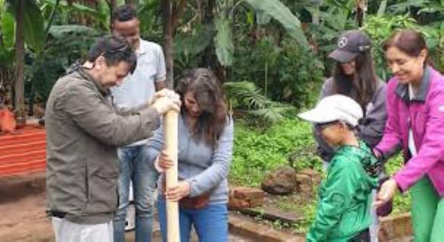 Arusha: Coffee Plantation Tour with Tasting and Hands-On … - Walking among Arusha’s coffee trees