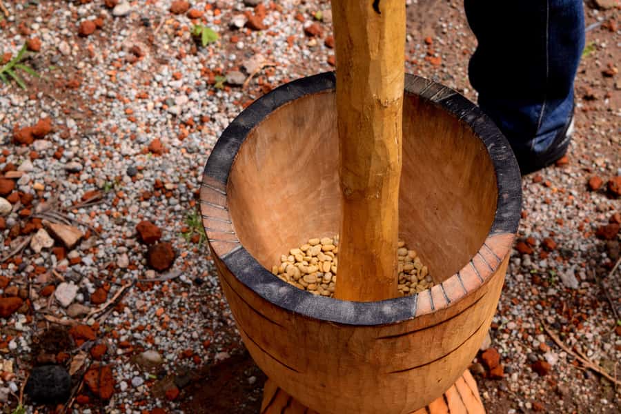 Arusha: Coffee Tour - Lunch and a Local Village Visit