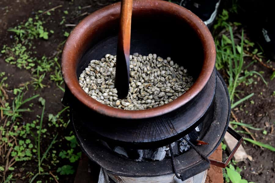 Arusha: Coffee Tour - Guides, Transport, and the Pace of the Morning
