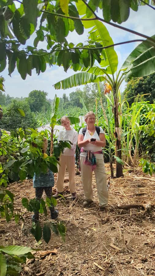 Arusha; Coffee Tour "Waterfalls &Village Walking with( Lunch - Bananas, farming, and village life