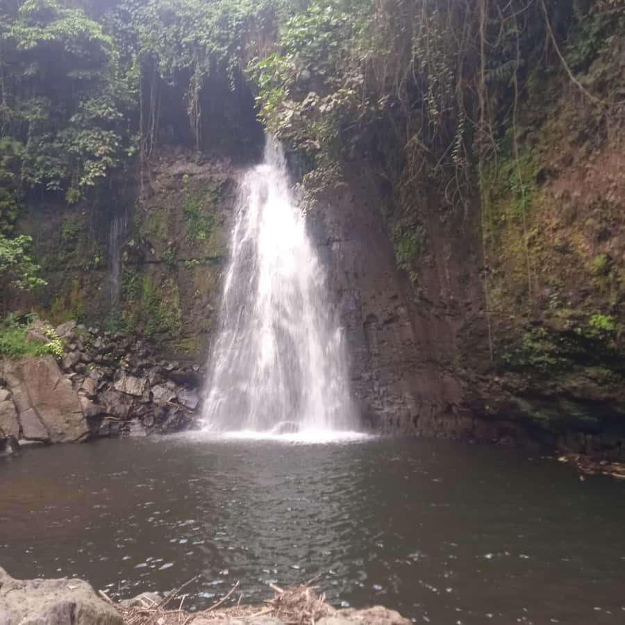 Arusha; Coffee Tour "Waterfalls &Village Walking with( Lunch - What $57 includes, and where the value lies
