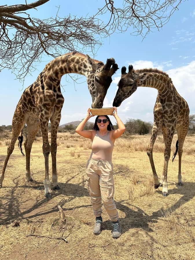Arusha: Day Trip to Serval Wildlife - Feed Giraffes & Lions - Key points to know before booking