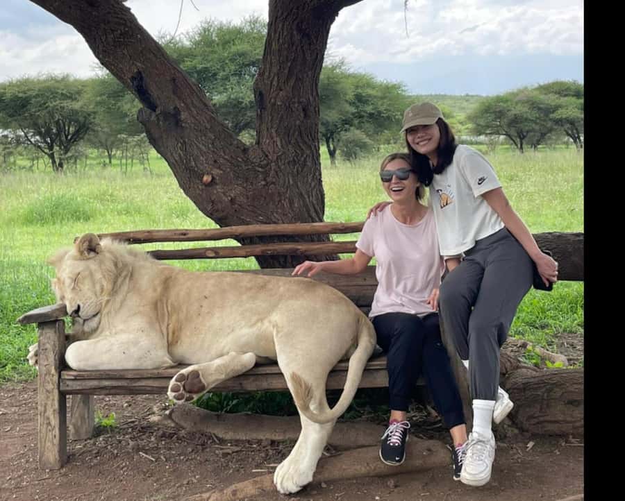 Arusha: Day Trip to Serval Wildlife - Feed Giraffes & Lions - What this day trip actually offers