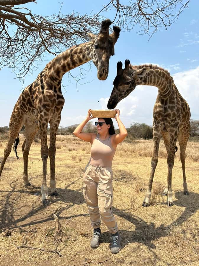 Arusha: Day Trip to Serval Wildlife - Feed Giraffes & Lions - The guide and driver can shape the day