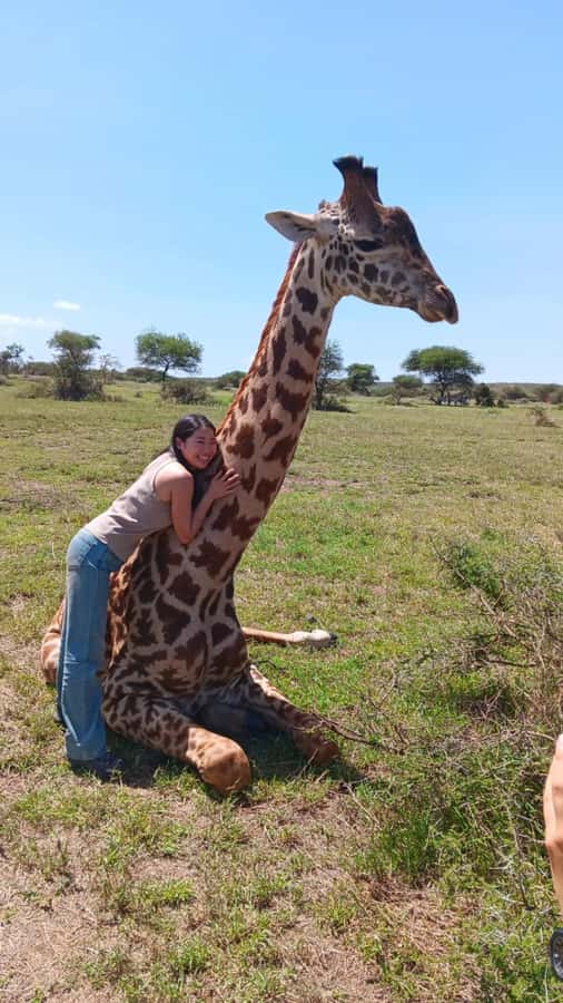 Arusha: Day Trip to Serval Wildlife - Feed Giraffes & Lions - Is $220 per person good value?
