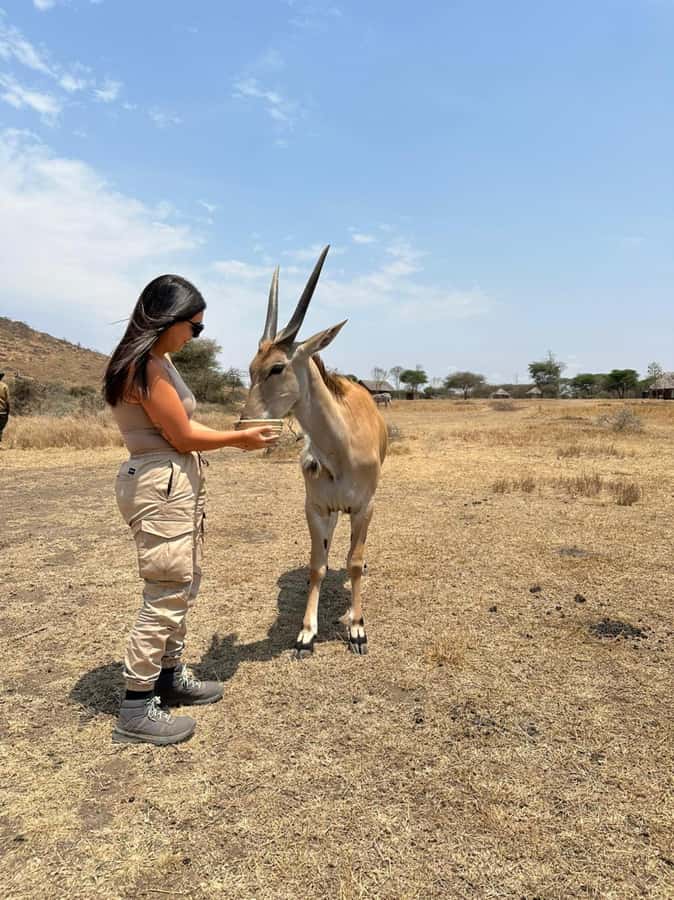 Arusha: Day Trip to Serval Wildlife - Feed Giraffes & Lions - The early pickup and two-hour road journey
