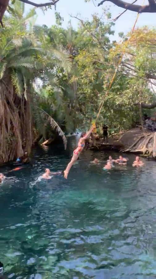 Arusha Hot Springs, Waterfall & Coffee Tour Kingstone Asilia - Key points at a glance