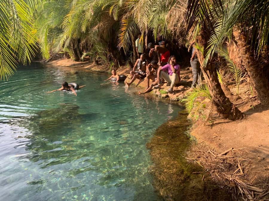 Arusha Hot Springs, Waterfall & Coffee Tour Kingstone Asilia - Choosing your day near Arusha