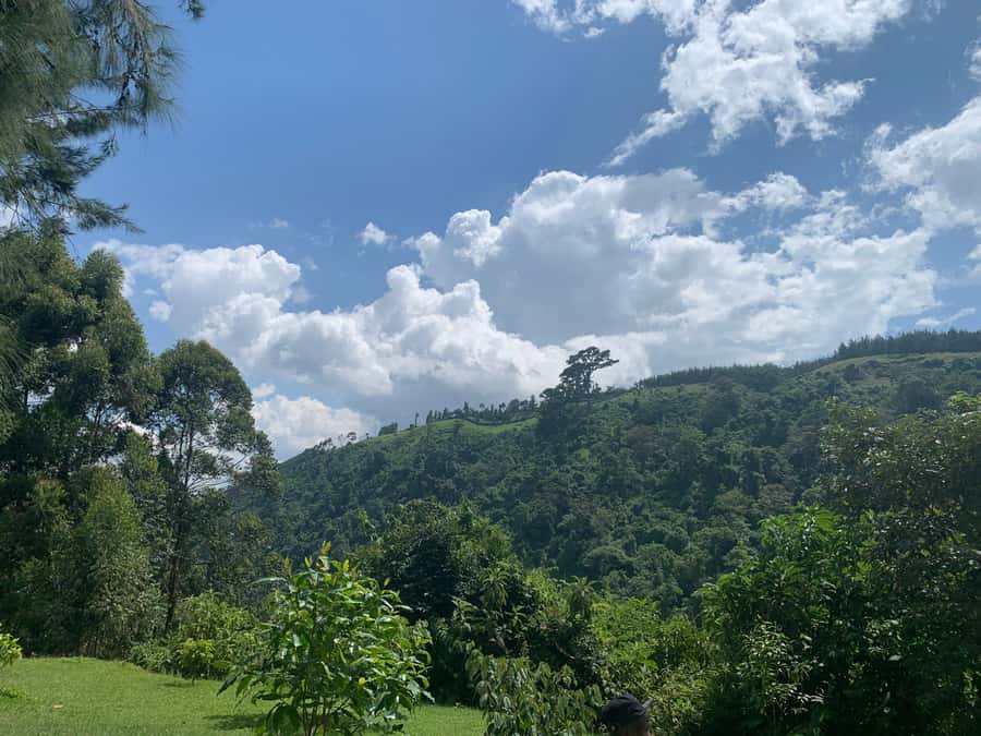 Arusha Hot Springs, Waterfall & Coffee Tour Kingstone Asilia - How the tour guides handle the day