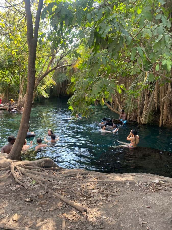 Arusha Hot Springs, Waterfall & Coffee Tour Kingstone Asilia - The road to Kikuletwa Hot Springs