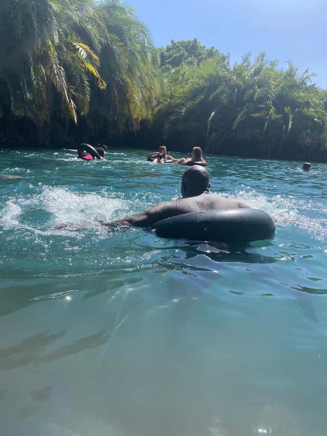 Arusha: Kikuletwa Hot Springs Day Trip with Transport - Kikuletwa Hot Springs at a glance