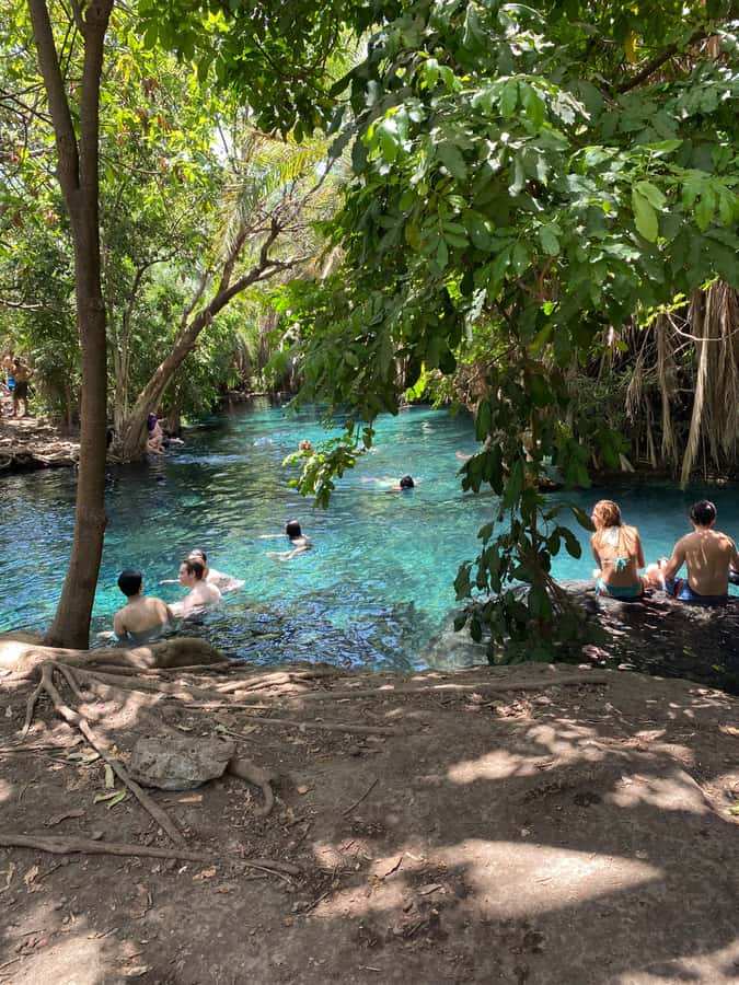Arusha: Kikuletwa Hot Springs Day Trip with Transport - Starting from Arusha or Moshi