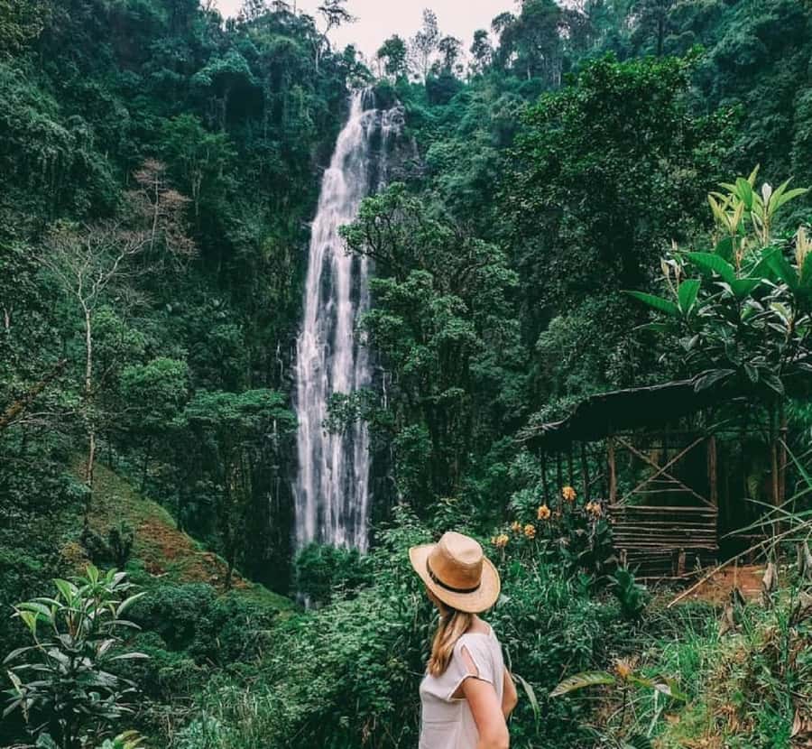 Arusha: Materuni Waterfalls, Coffee, and Hotsprings Tour - Key points to know before booking