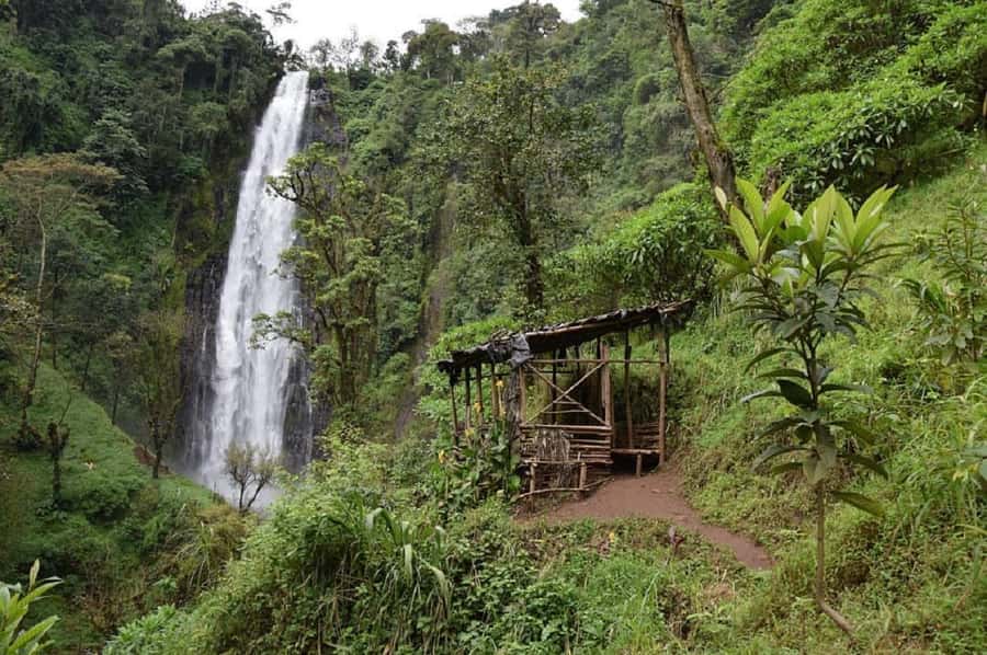 Arusha: Materuni Waterfalls, Coffee, and Hotsprings Tour - Lunch gives the village visit a local center