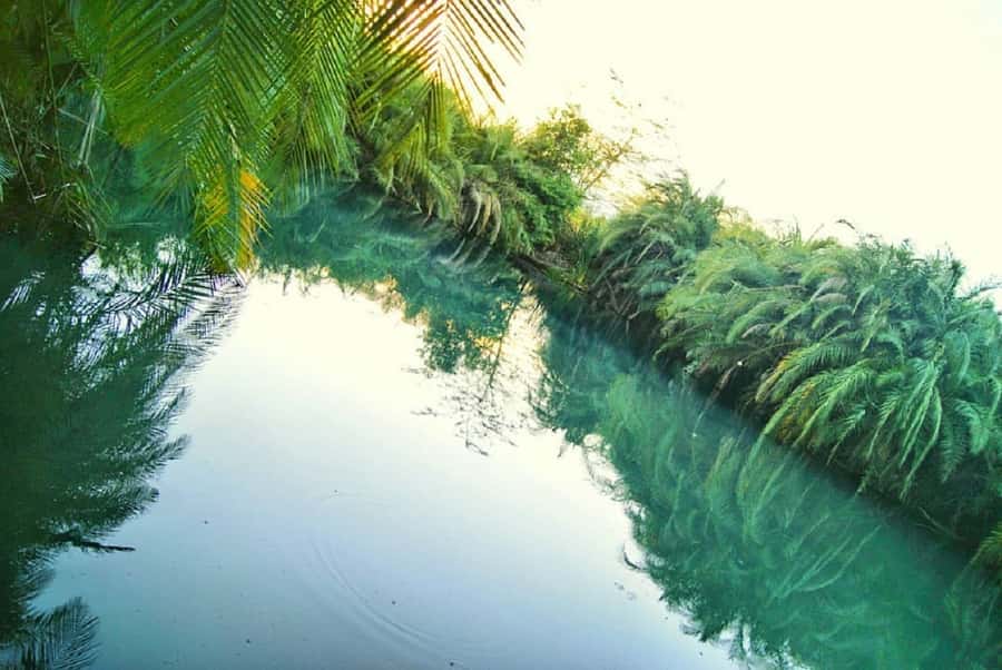 Arusha: Materuni Waterfalls, Coffee, and Hotsprings Tour - Who will enjoy this full-day combination