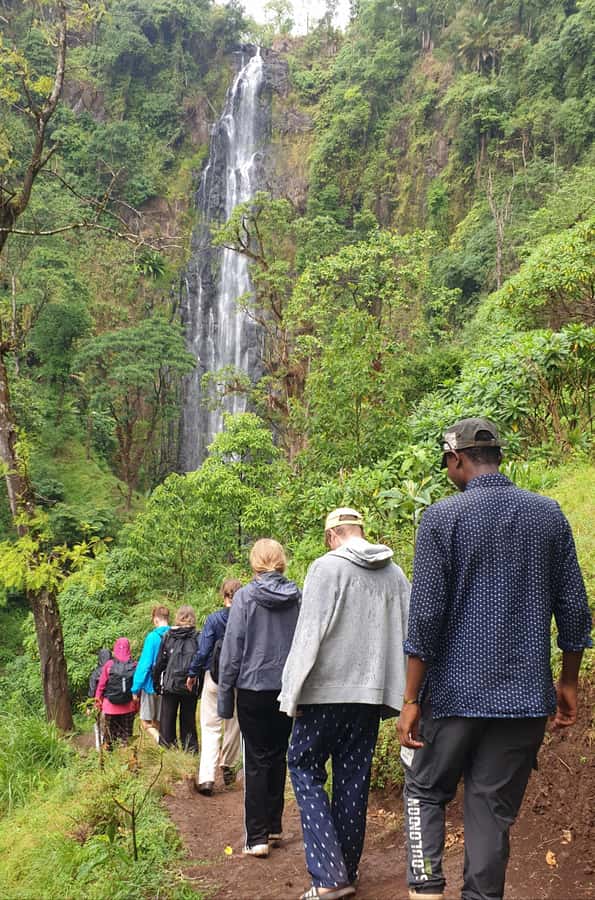 Arusha: Materuni Waterfalls, Hot Springs and/or Coffee Tour - Why this outing works near Kilimanjaro