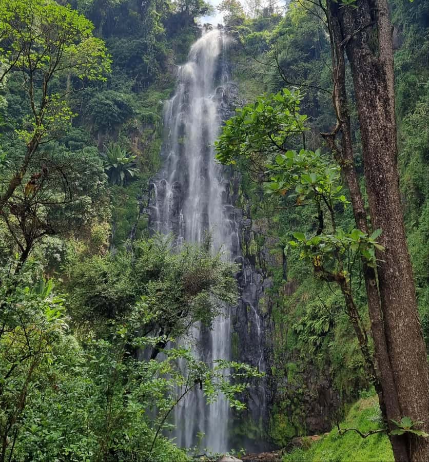 Arusha: Materuni Waterfalls, Hot Springs and/or Coffee Tour - Walking to the 85-meter Materuni Waterfall