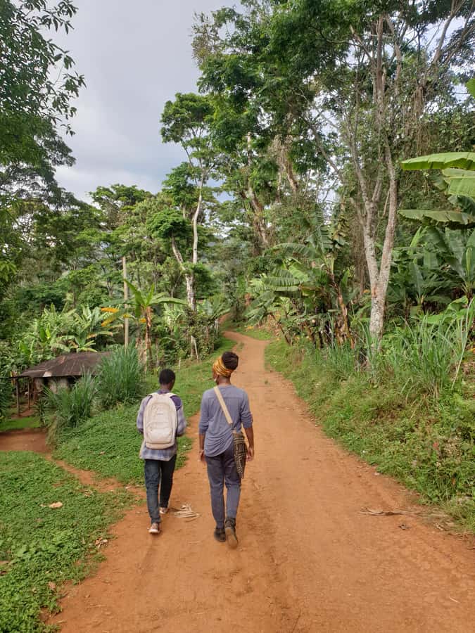 Arusha: Materuni Waterfalls, Hot Springs and/or Coffee Tour - A proper Tanzanian lunch in Materuni