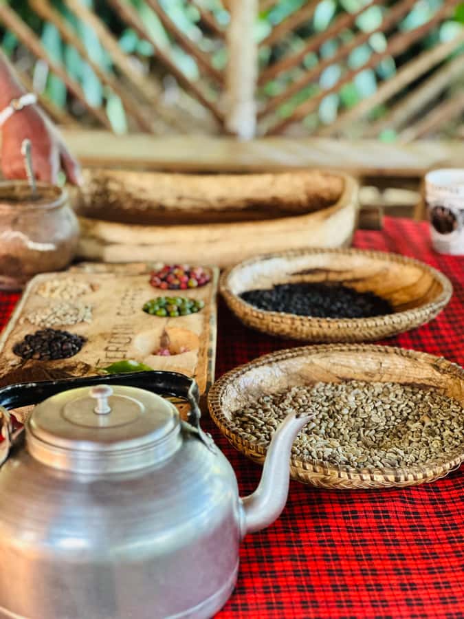 Arusha: Materuni Waterfalls, Hot Springs and/or Coffee Tour - What the $53 price really includes