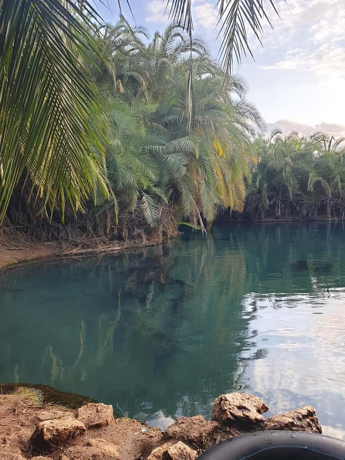 Arusha: Materuni Waterfalls, Hot Springs and/or Coffee Tour - Guides, communication, and timing