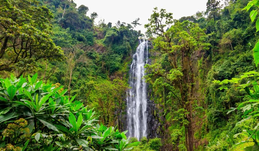Arusha: Materuni Waterfalls, Hot Springs and/or Coffee Tour - Who should choose this Materuni tour?