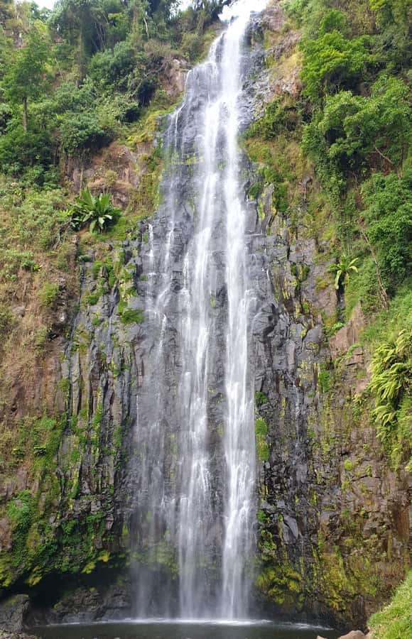 Arusha: Materuni Waterfalls, Hot Springs and/or Coffee Tour - The ride from Arusha or Moshi