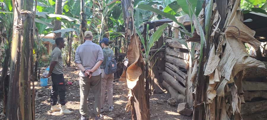 Arusha: Meru Village Tour (Walking or Bike) - Key points to know before you go