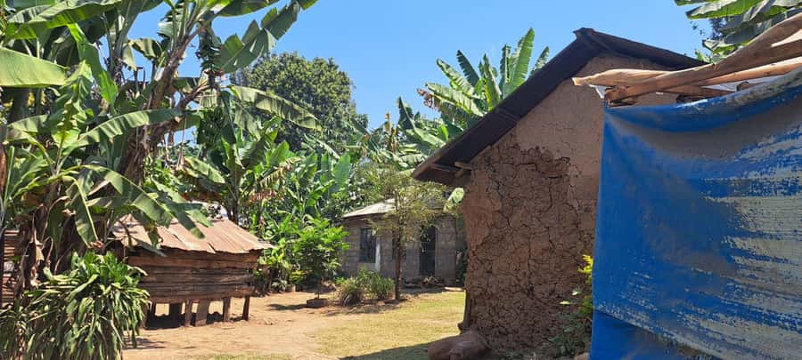 Arusha: Meru Village Tour (Walking or Bike) - Why Tengeru makes a good day trip from Arusha