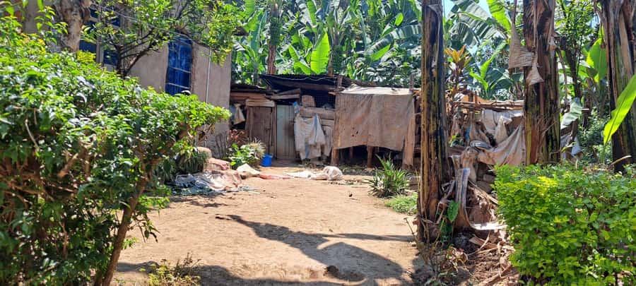 Arusha: Meru Village Tour (Walking or Bike) - Farms and the working side of Meru culture