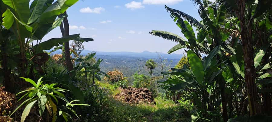 Arusha: Meru Village Tour (Walking or Bike) - How the $75 price works out