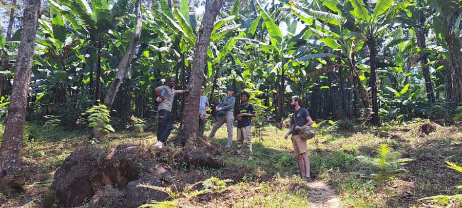 Arusha: Meru Village Tour (Walking or Bike) - The 30-minute ride from Arusha to Tengeru