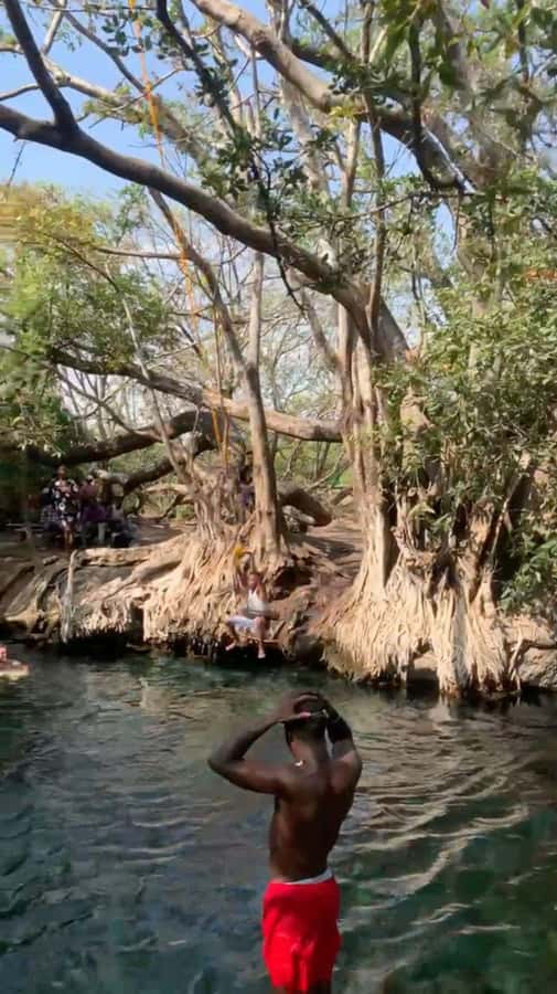 Arusha/Moshi Hot Springs Tour (Chemka) by Kingstone Asilia - The optional lunch and why it may be worth the cash