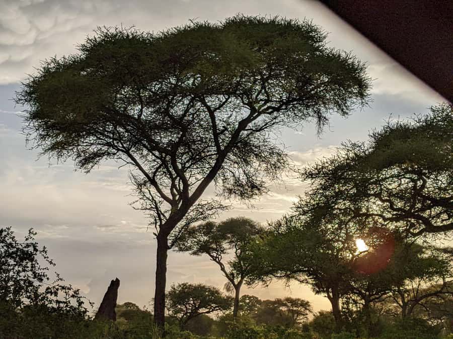 Arusha: Mto wa Mbu, Hadzabe, and Datoga Tribes Day Trip - Datoga metalwork, cattle, and adornment