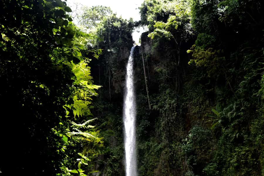 Arusha: Napuru Waterfalls - Why Napuru Waterfalls Makes a Good Arusha Excursion